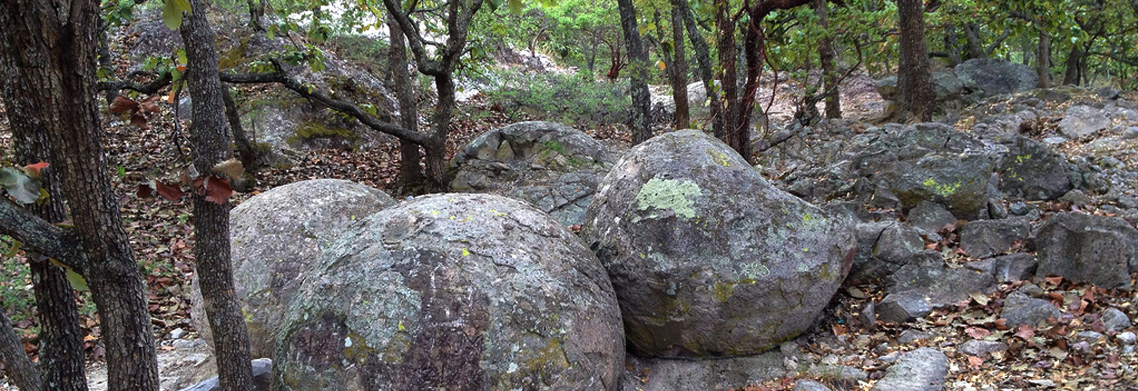maravillas naturales jalisco